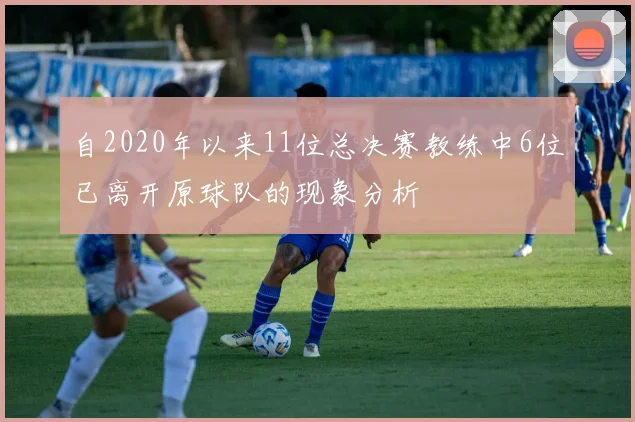 自2020年以来11位总决赛教练中6位已离开原球队的现象分析