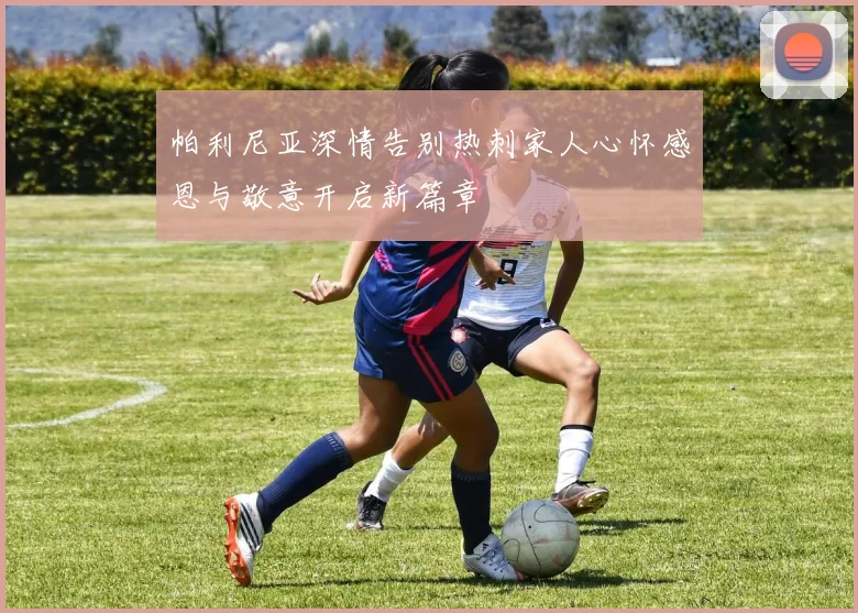帕利尼亚深情告别热刺家人心怀感恩与敬意开启新篇章